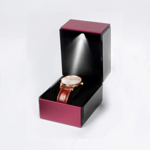 Watch Box