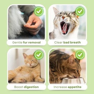 Cat Grass Teething Sticks (6 STICKS)