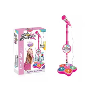 The All-in-One Microphone Toy That Makes Every Day a Concert!