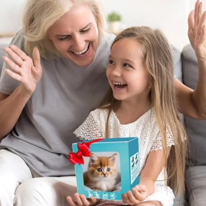 My Realistic Robot Kitty: Your Sunny, Purring Companion