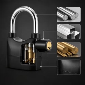 Anti Thief Sound Security Alarm Lock