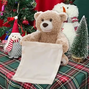Peek-a-Boo Bear