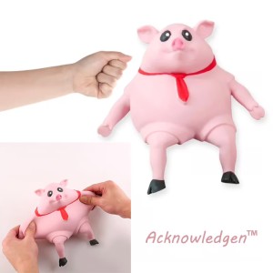 Piggy Squeeze Toy® | Acknowledgen™