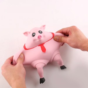 Piggy Squeeze Toy® | Acknowledgen™