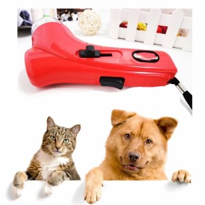 Pet Feeder 