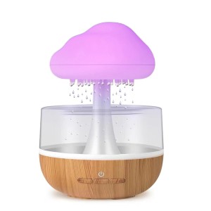 Rain Cloud Night Light Humidifier